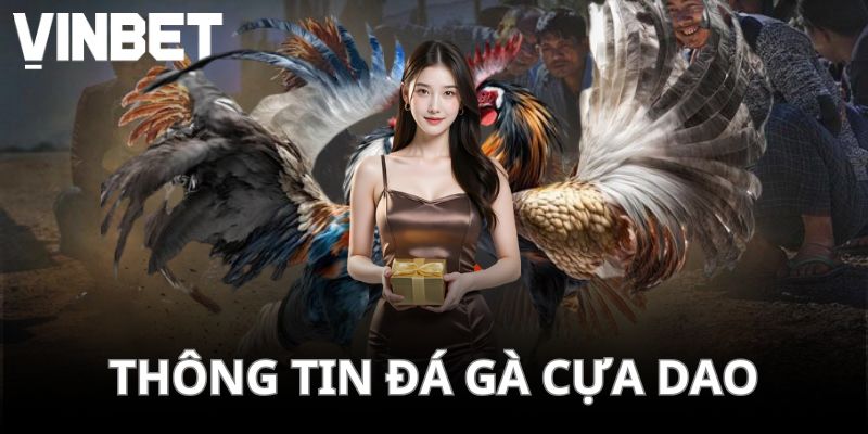 Một số thông tin liên quan đến siêu phẩm đá gà cựa dao