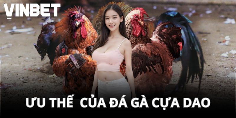 Ưu thế nổi bật của hình thức giải trí số 1 VINBET