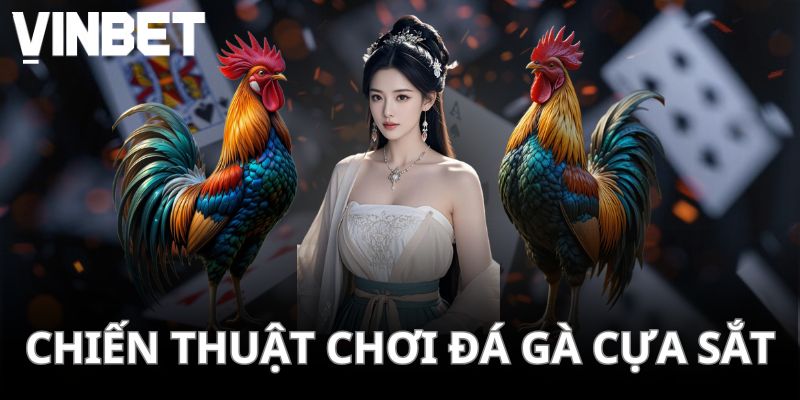 Cần đánh giá kỹ lưỡng trước khi bắt kèo đá gà cựa sắt
