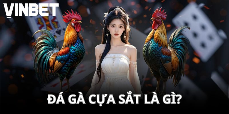 Hình thức này luôn diễn ra với sự kịch tính rất cao