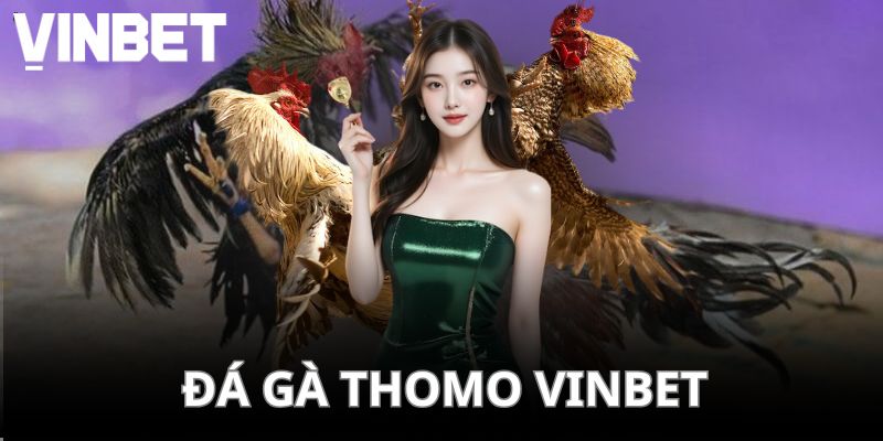 đá gà Thomo