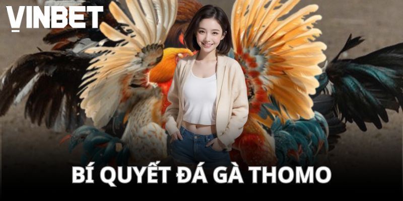 Đá gà Thomo