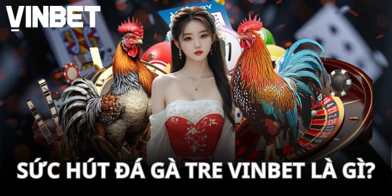 Đá gà tre hấp dẫn người chơi bởi thi đấu rất đẹp mắt
