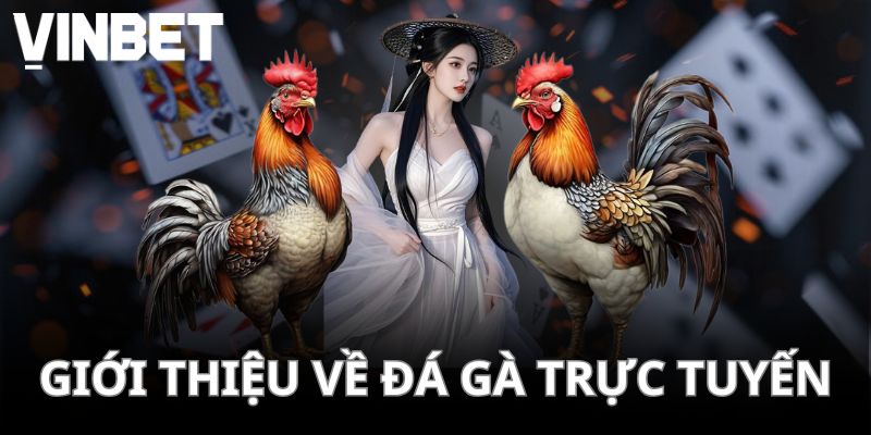 Đá gà trực tiếp mang lại những trải nghiệm hấp dẫn và kịch tính