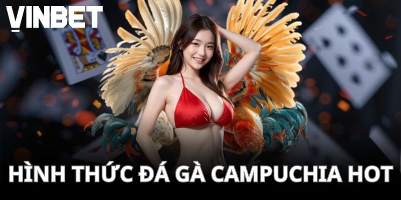 Tổng hợp hình thức thi đấu ăn khách hiện nay