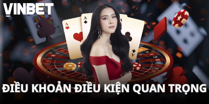 Điều khoản và điều kiện thuộc nhóm thông tin quan trọng
